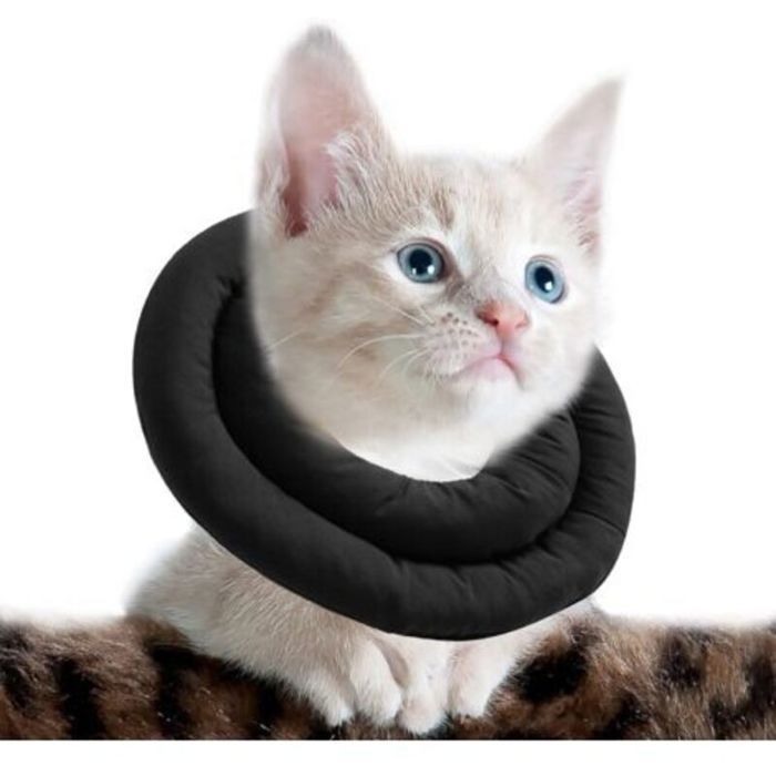 Collerette pour Chat réglable Collier De Récupération Doux pour Chat Collier De Protection pour Animaux Après Chirurgie (S Noir)