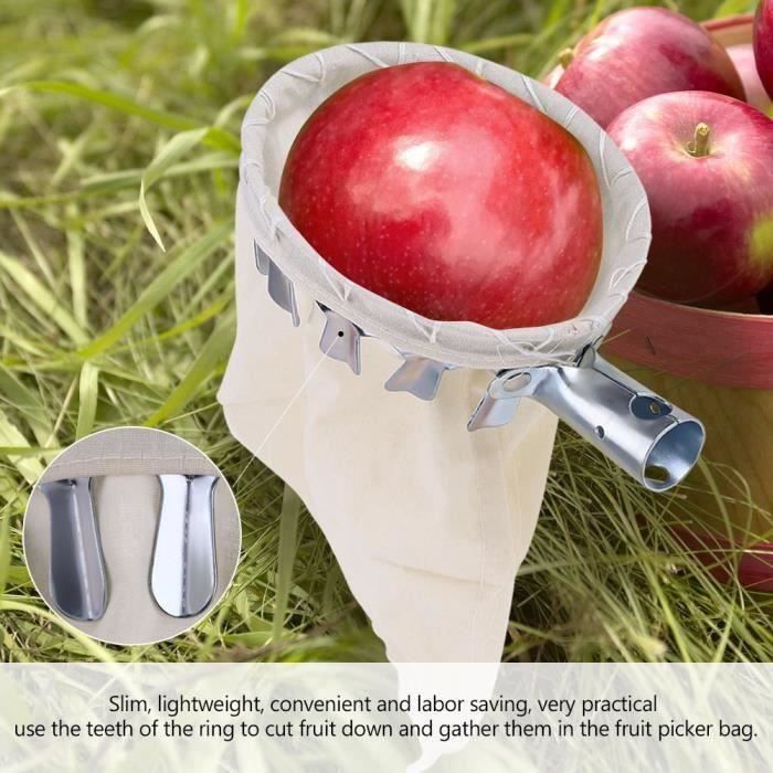 Cueilleur De Fruits Léger Avec Panier - Pour Pommes, Poires, Pêches - Acier, Fond éponge - Tige Amovible (34,5 Cm) - Parfait Verger, Jardin