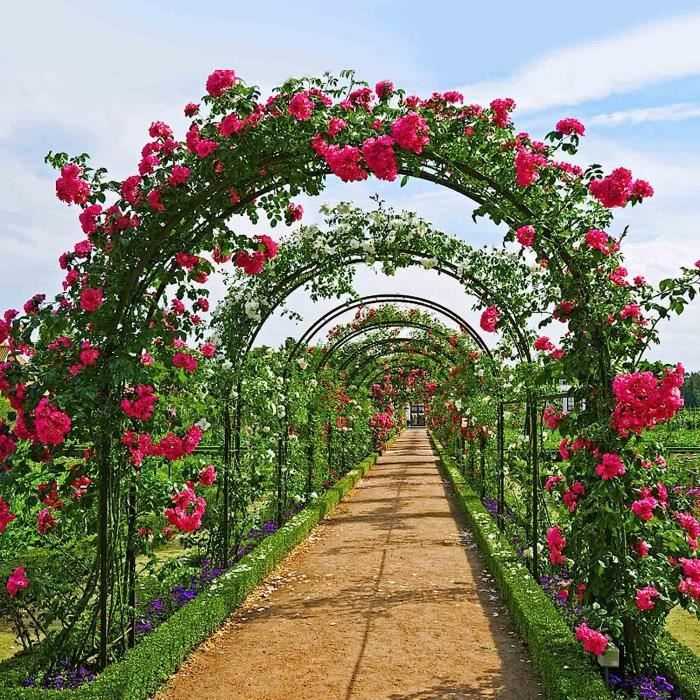 Arche en acier, décoration du jardin, pergola, allée, rosier, Nature,  achat, vente, pas cher
