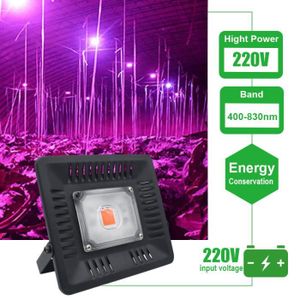 Led Horticole 100w Achat Vente Pas Cher