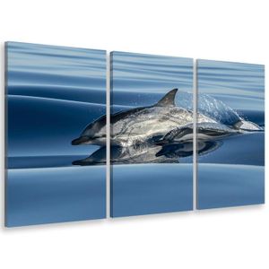 Tableau Dauphin Achat Vente Pas Cher