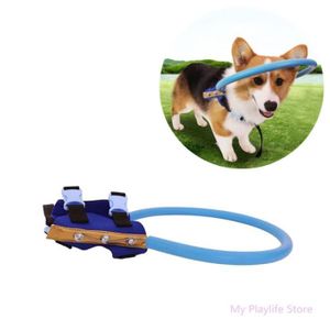Aveugle Anneau Anti-Collision Cataracte Chien Chat Cercle Protecteur Cercle Guide Coffre-Fort Guide Anneau Bague Collier R/églable T/ête danimal Protection Visage Halo XS