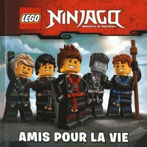 Anniversaire Ninjago Achat Vente Pas Cher Anniversaire Ninjago Achat Vente Pas Cher