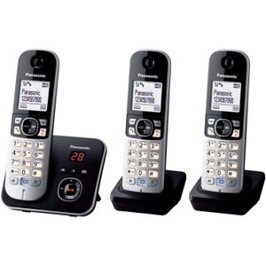 Téléphone fixe Téléphone sans fil avec répondeur Panasonic KX-TG6
