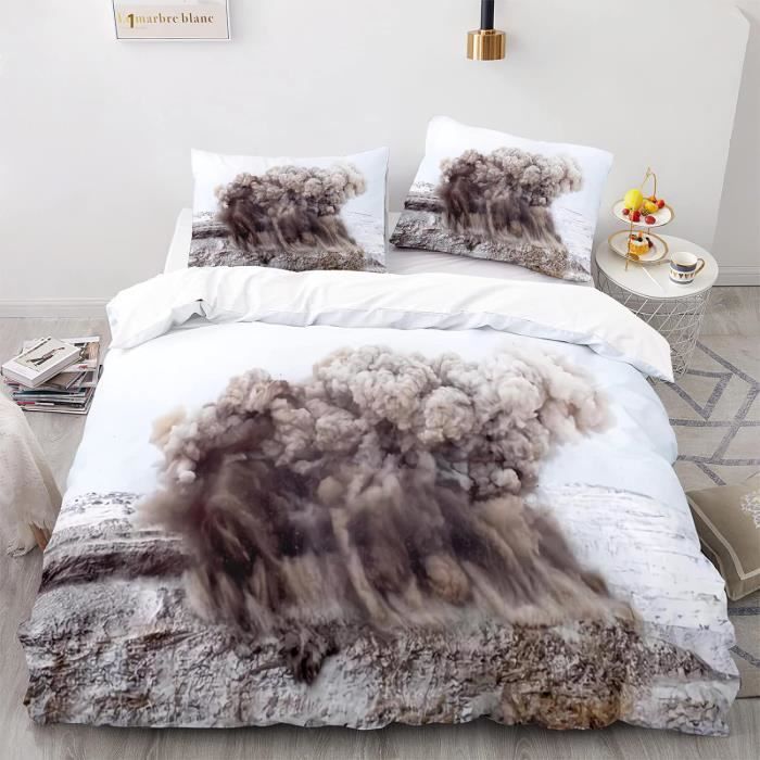 Parure Lit 1 Personne Fille 140X200 Cm Exploser Housse Couette Ado Garçon  Microfibre Housse De Couette 140 X 200 Avec 2 Taie[Z4749] - Cdiscount Maison