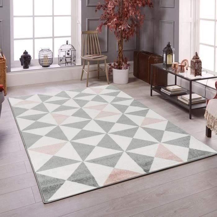 Tapis De Salon Rose Achat Vente Tapis De Salon Rose Pas Cher
