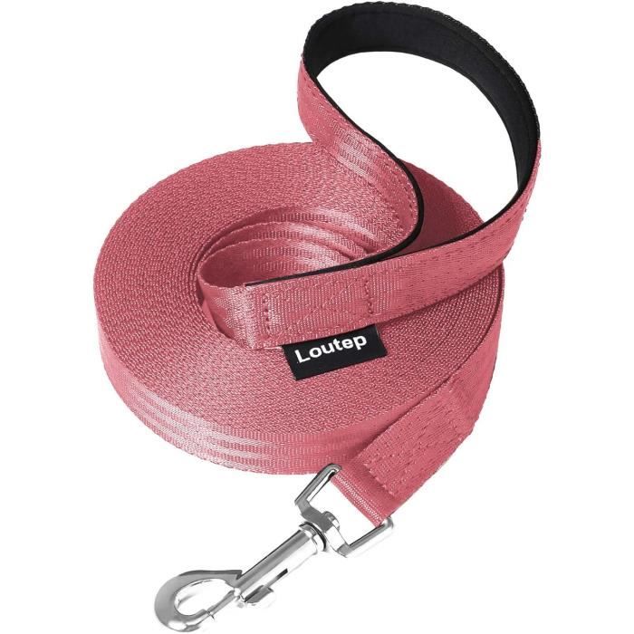 Laisse Pour Chien - 5 M, 10 M, 15 M, 20 M - Gris - Réfléchissant Avec Dragonne Amovible