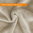 Couverture, plaid polaire 220 x 240 cm en flanelle ultra doux - Beige - Vivezen-1