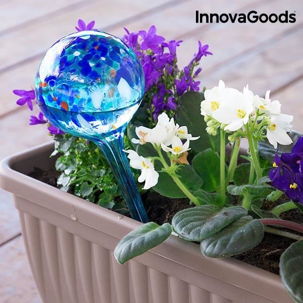 Arrosage plante intérieur en verre Artisanal – Arrosage bouteille, Arrosage  automatique plante d'interieur, bulle arrosage plante - Cdiscount Jardin