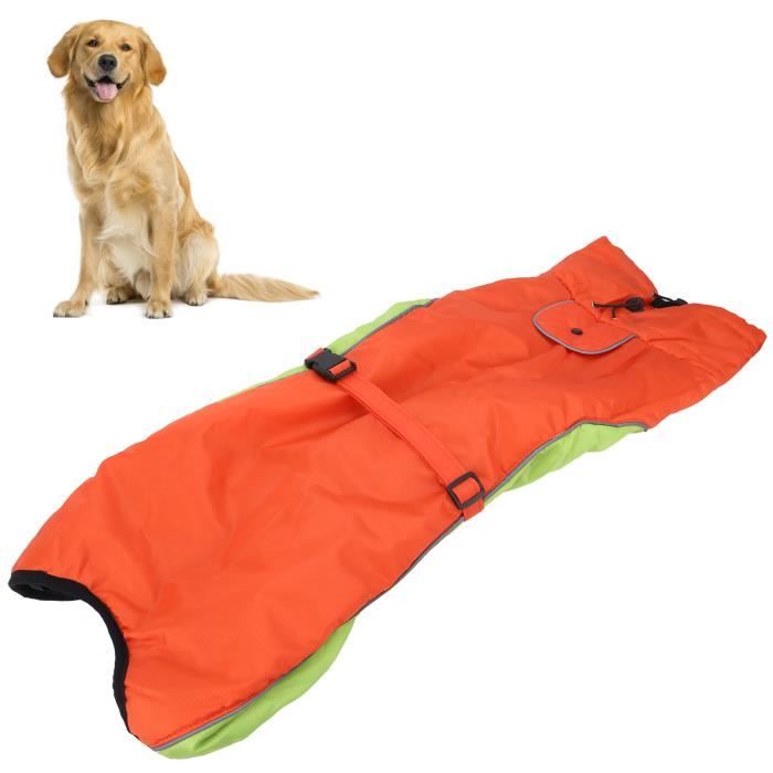 Veste antistatique 2025 pour chien