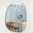 Miroir design Albatros Miroir mural ou miroir de porte asymétrique, forme organique moderne Miroir Ovale et Large [60cm x 45cm]-0