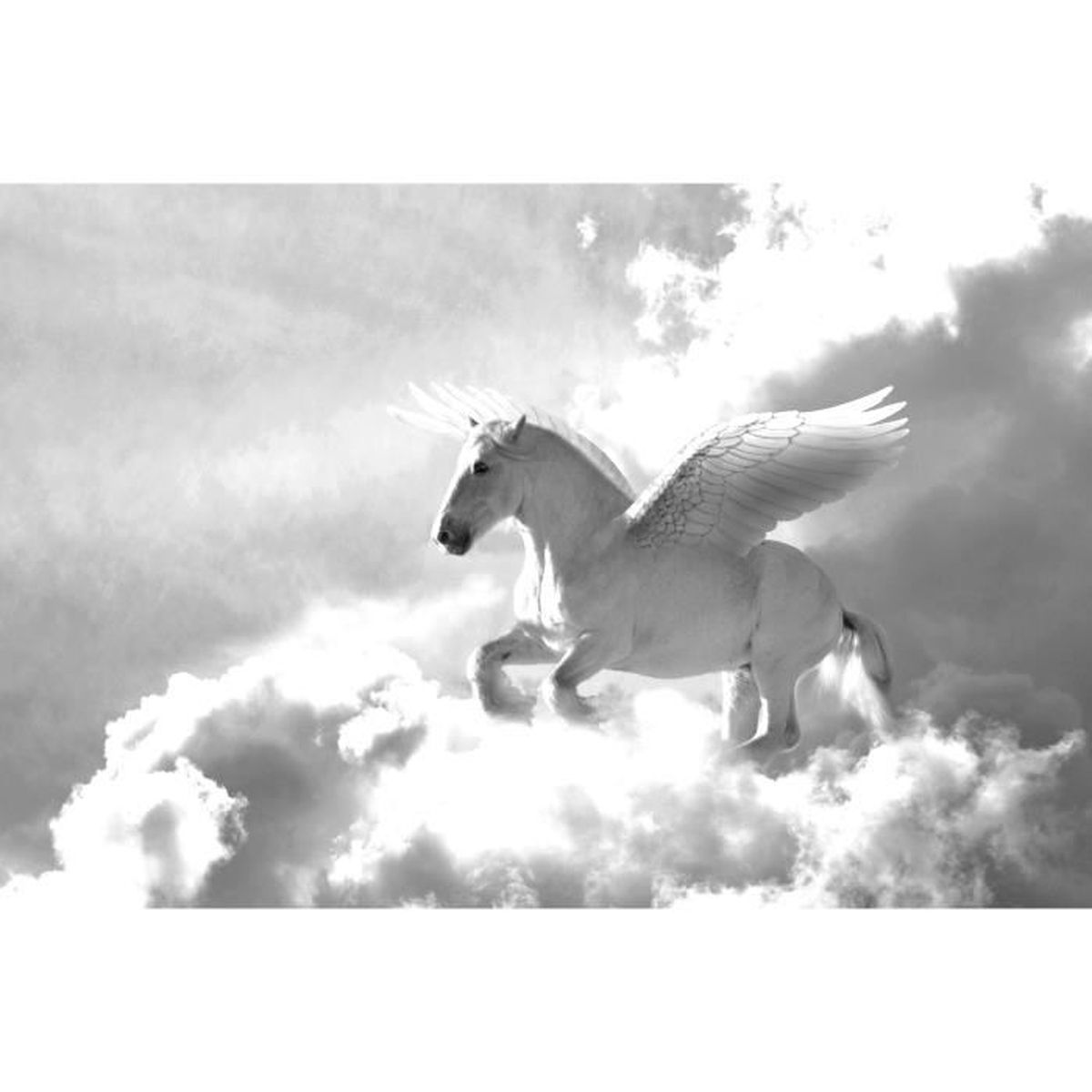 Papier Peint Photo Intisse 1528 Pegase 300x223 Cm 6 Les Mural Poster Geant Xxl Noir Blanc Pegasus Nature Fantaisie Ciel Nuages Cdiscount Bricolage
