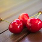 Cerisier cerassus Bigarreau Coeur de Pigeon-Pot de 10L - Gobelet 2 ans-Plantes Avenue