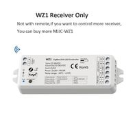 variateur de lumière 12V DC 24V 36V 2CH 10A,interrupteur intelligent Tuya 2.4G RF WIFI,télécommande sans - WZ1 Controller Only