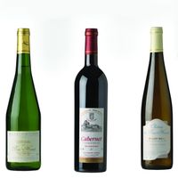 Smartbox - Coffret de 3 bouteilles de vin du Pays nantais livré à domicile - Coffret Cadeau |