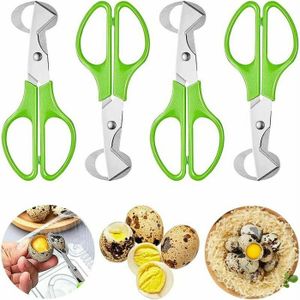 Ciseaux à œufs En Acier Inoxydable, Coupe-coquille... – Grandado