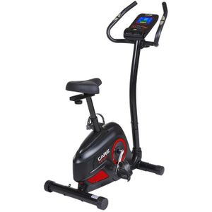 Mini Vélo d'appartement TECTAKE - Ordinateur d'entraînement - Noir -  Cdiscount Sport