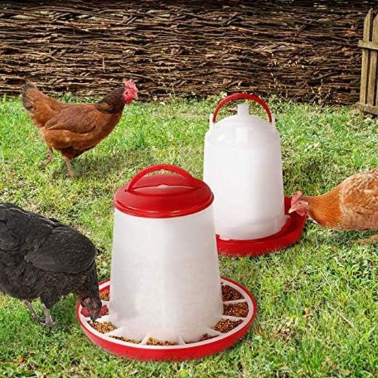 Lot mangeoire KG et Abreuvoir 3L pour Poules et volailles