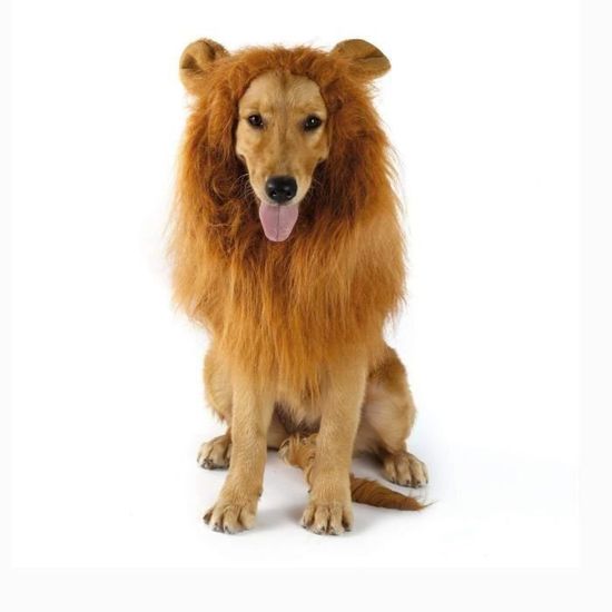 SHA Perruque crinière de lion pour déguisement pour chien Cdiscount