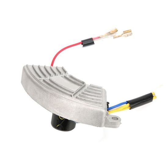 Régulateur Tension Automatique C-FUNN - Pour Générateur Essence 2-3Kw - Noir