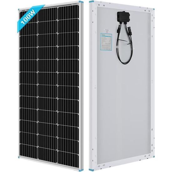 Panneau Solaire Portable Renogy 300W - Compact, Léger (8,5 Kg) - Cellules N-Type, Rendement élevé - Pour Camping-car, Van, Bateau, Camping - Certifié IP67