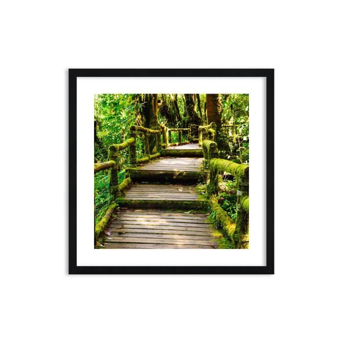 Image Impression sur toile 60x60 cm Chemin bois forêt - Le Cadre couleur noire - pour la mur - F1BAC60x60-2417