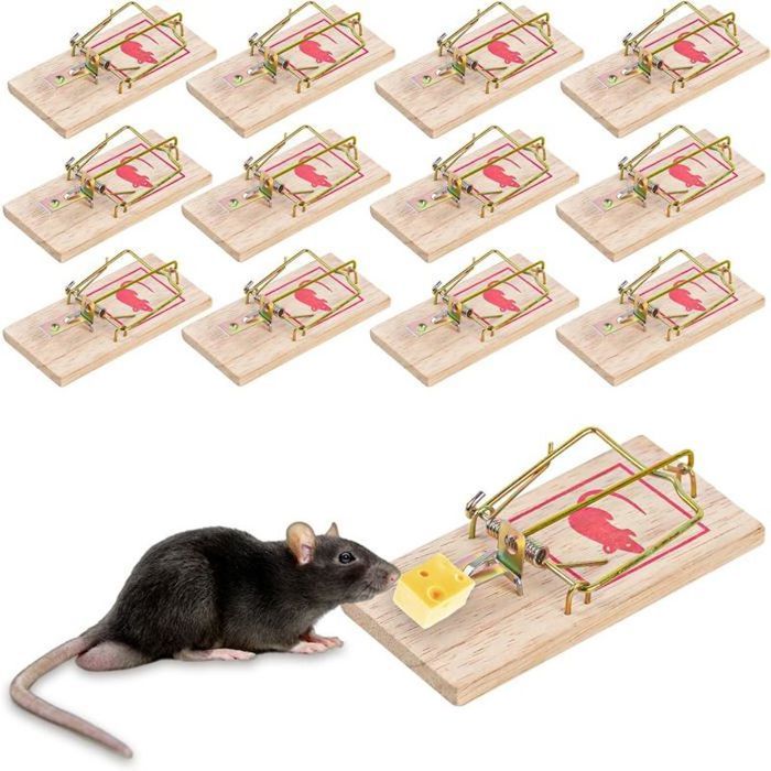 Piege a souris : une tapette a souris, une solution efficace et rapide