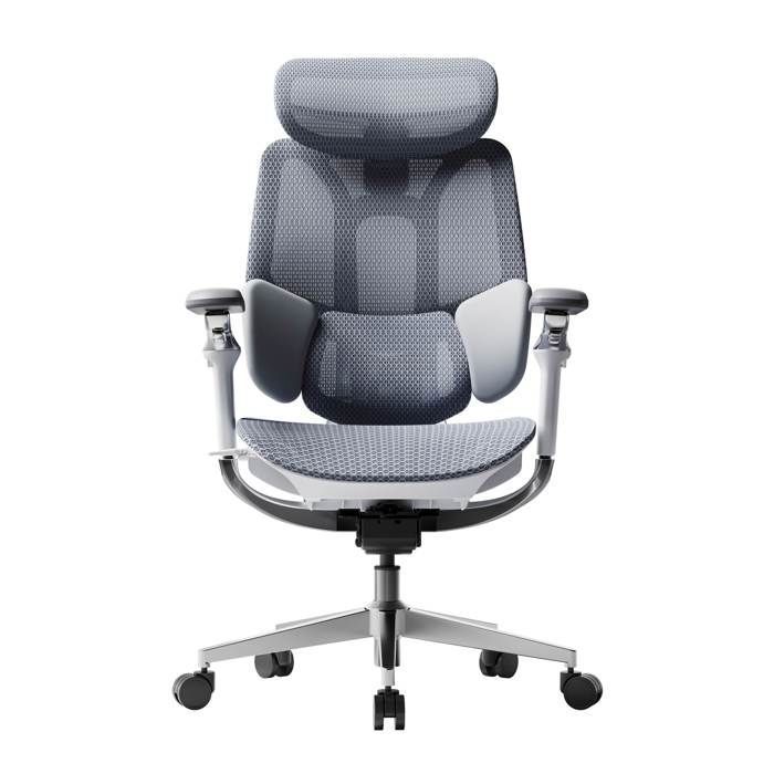 Hbada E3 Pro Édition 2026 Chaise de Bureau Ergonomique Support Lombaire Dynamique 3 Zones Accoudoirs 720°(Gris sans Repose-Pieds)