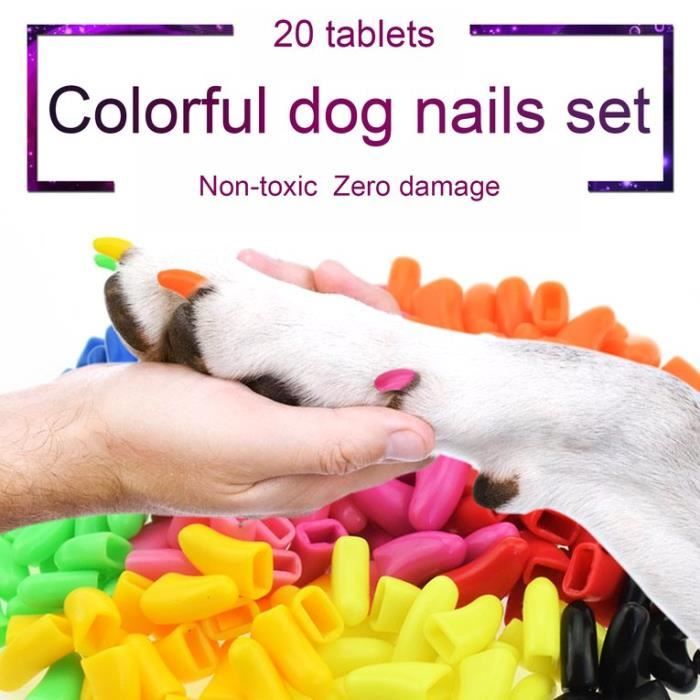 Pcs Protege Griffes Couvercles A Ongles Pour Pattes De Chats Chiens Animaux De Compagnie Jaune Automne Xs Achat Vente Coupe Ongles Griffes Protege Griffes Cdiscount Pcs Protege Griffes Couvercles A Ongles Pour Pattes De Chats Chiens Animaux De Compagnie Jaune Automne Xs Achat Vente Coupe Ongles Griffes Protege Griffes Cdiscount