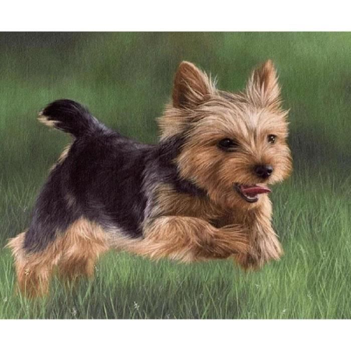 VAIIEYO 5D Diamond Painting Chien, Broderie Diamant Animaux, Canevas
