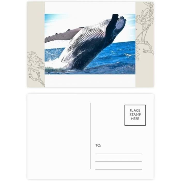 Une carte postale de l'océan
