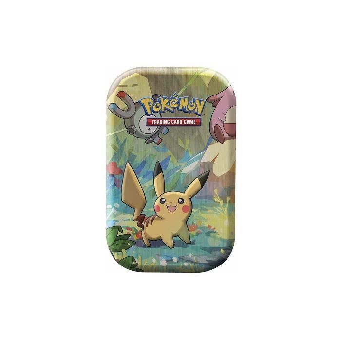 Carte pokemon metal - Cdiscount