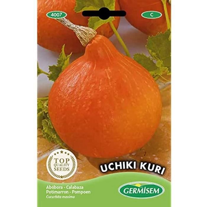 Potiron Potimarron Uchiki Kuri Bio - Graine Potiron | Magellan Bio