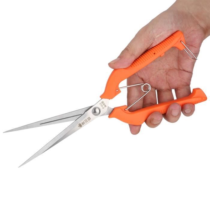 Cisaille à Gazon, Sécateur à Lame Droite - Longueur Totale 20 Cm, Lame 6 Cm - Acier Inoxydable - Pour Jardin, Bonsaï, Arbres Fruitiers - 3