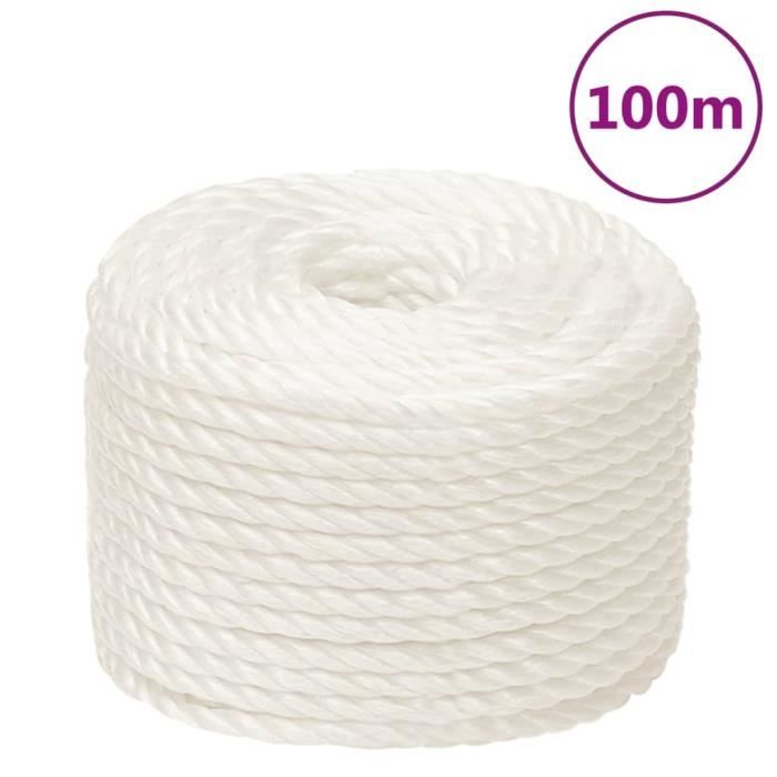 153052 vidaXL Corde de travail Blanc 10 mm 100 m polypropylène