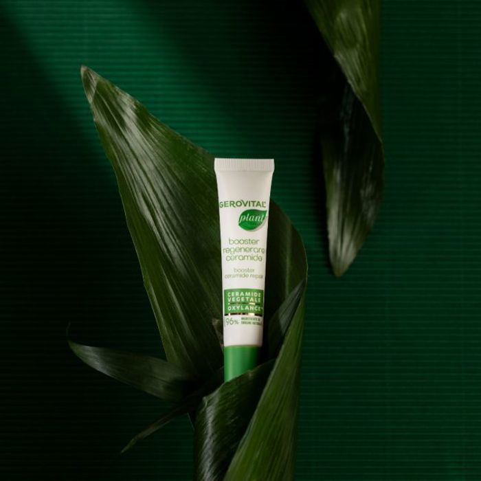 Gerovital Gerovital Plant Booster Rgnration aux Cramides 15 ML Zone du  corps Affronter - Cdiscount Au quotidien
