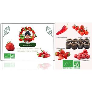puran 100 Pièces//Sac De Graines De Framboise Pour La Plantation Semis De Fruits De Jardin Comestibles Bien Adaptés Et Viables Prolifiques Pour Le Patio Bleu Graines de framboise