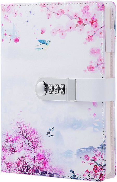 BDHYYM Carnet Secret Avec Code A5 - Journal Intime Fille Avec Stylo Et Autocollants - Cuir PU 21x15 Cm