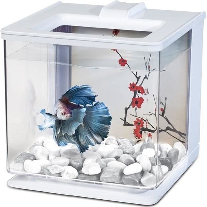 Aquarium avec couvercle Achat / Vente pas cher