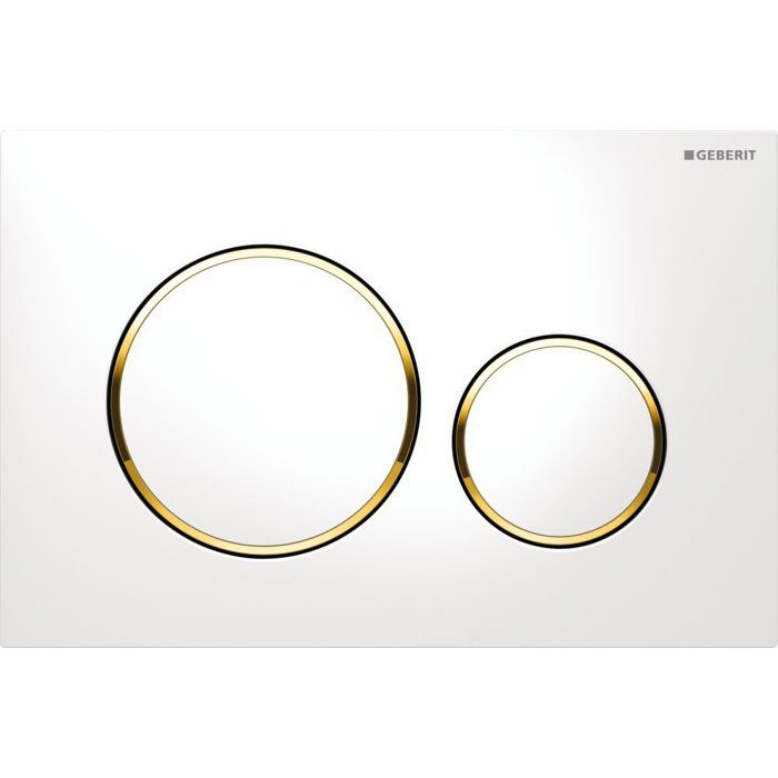 Plaque De Déclenchement Pour Geberit Sigma 20 - Double Commande, Rinçage 2 Volumes, Argent Mat