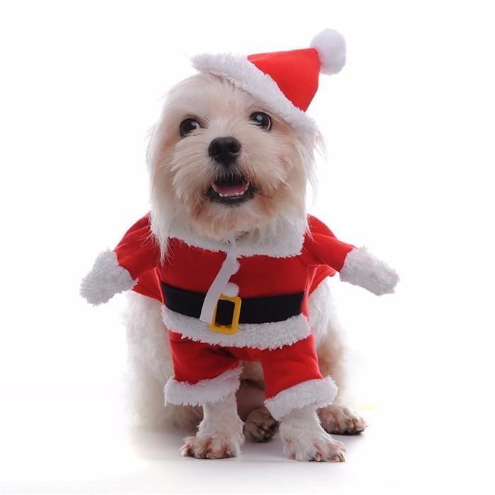Costume De Pere Noel Chien Chat Xl Cdiscount