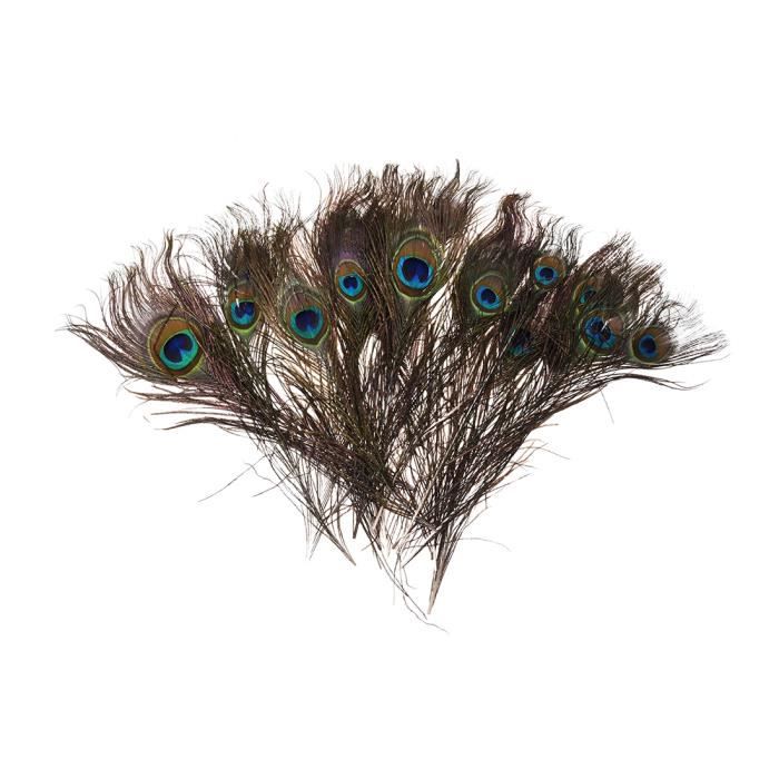 25 pcs Beau réel naturel paon Yeux plumes 10-12/' pour mariage décoration