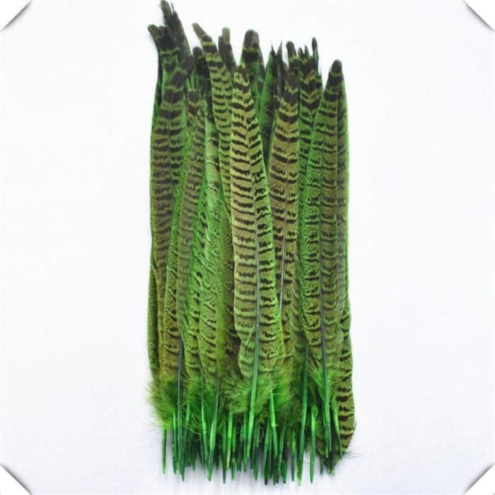 20pcs Plumes De Faisan Naturelles Pour Chapeau De Masque Artisanal 20pcs Plumes De Faisan Naturelles Pour Chapeau De Masque Artisanal