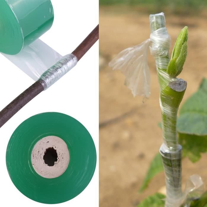 Ruban de greffage extensible lot de 2 pour la rparation des plantes et