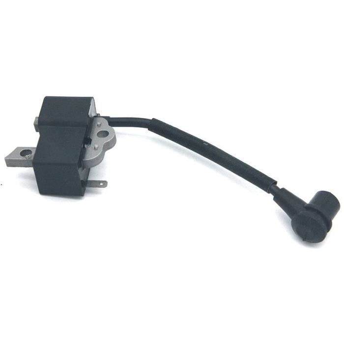 Echo cs store 690