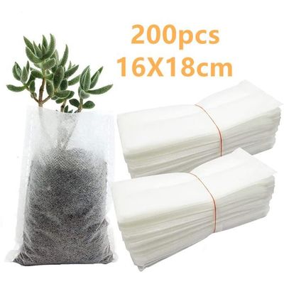 YAUNGEL Mini Serre Pour Plantes Avec Lampe LED - 6 Pièces Serre Semis Avec Minuterie