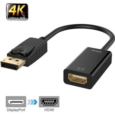 Adaptateur DisplayPort vers HDMI - Le Zébu