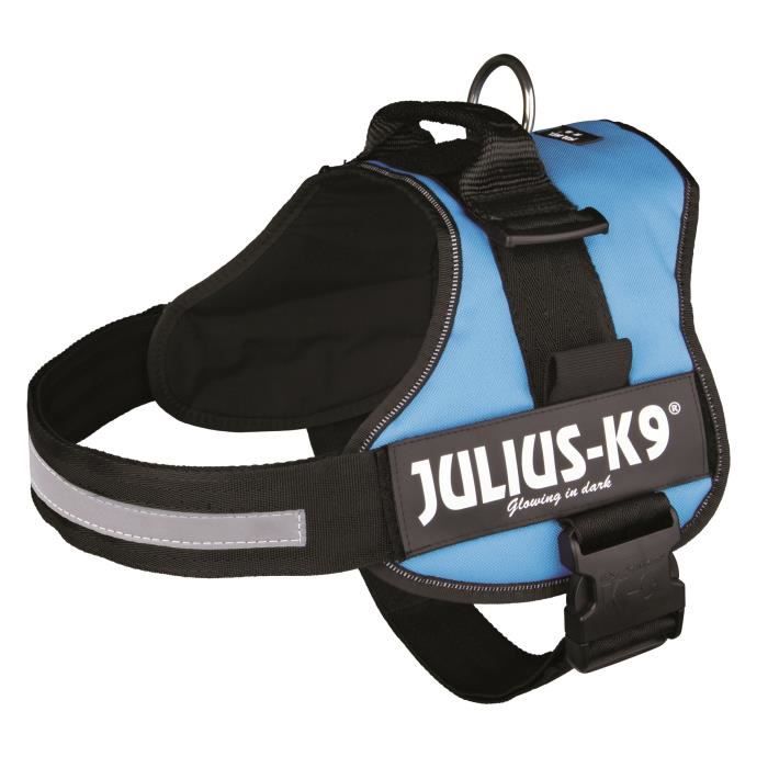 Harnais Power Julius-K9 - 3 - XL : 82-118 cm-50 mm - Aigue-marine - Pour chien