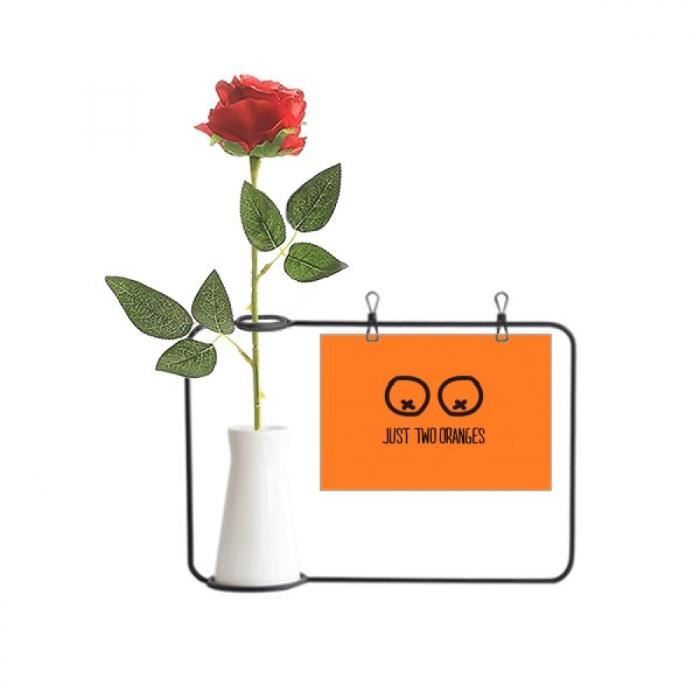 Juste Les Oranges Amusant Dessin Orange Bouteille De Decoration De Vases Suspendus De Fleur De Rose Artificielle Achat Vente Fleur Artificielle Soldes Sur Cdiscount Des Le 20 Janvier Cdiscount