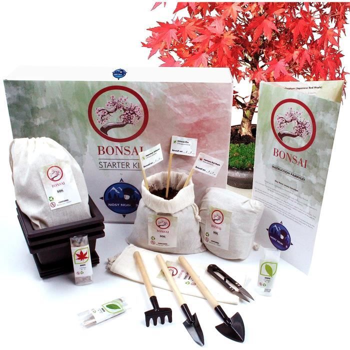 WEYEKit de Démarrage Bonsai Kit de Bonsai Japonais Authentique